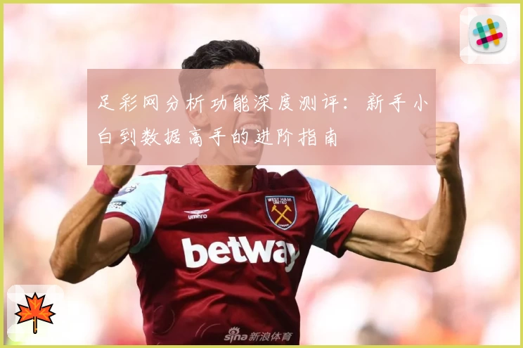 足彩网分析功能深度测评：新手小白到数据高手的进阶指南